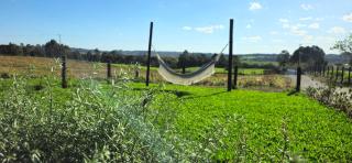 Chalé de Campo com hidro - Chalé Flores do Campo - 1