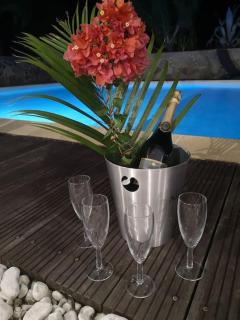 Le jardin des B-joux - Le Morne-Vert - 4