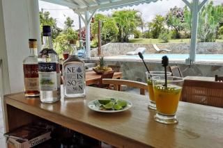 Le jardin des B-joux - Le Morne-Vert - 5