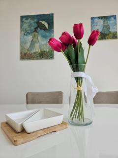 Apartman Sky - Sremska Mitrovica - 8