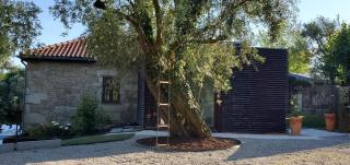 Quinta do Fontão - Casa com piscina - Arcos de Valdevez - 5