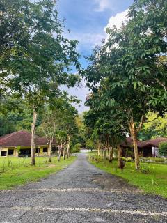 LiLLA Hilltop Retreat - Janda Baik - Bentong - 1