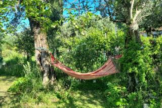 Patty's Cottage - Lerici - 4