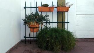 Departamento Independiente con Terraza - 3