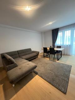 Luxury Sunny Apartments near City Center Suceava - 1