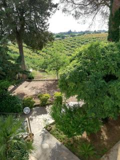 Casa Vacanza Angela - Pisticci - 4