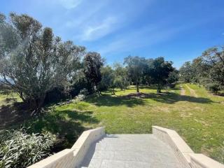Villa Casa Sognu di Orizonte - Figari - 9