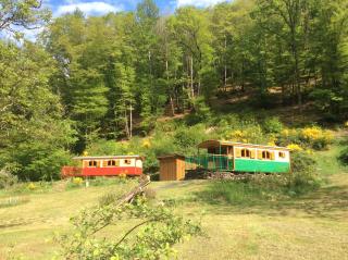 Les Roulottes de la Dordogne - Champagnac - 9