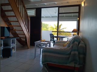 Une terrasse pleine vue mer - Le Gosier - 1