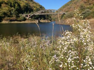 Les Roulottes de la Dordogne - Champagnac - 7