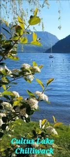 Spacious 2BR Near HWY 1, Heritage Park , Cultus Lake & Fishing! - Chilliwack - 9