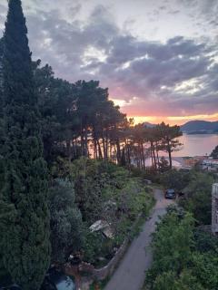 Villa Nikola Kentera - Sveti Stefan - 5