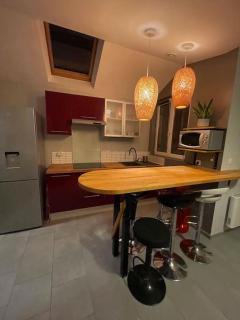 Bel appartement rez de chaussée - Troyes - 1