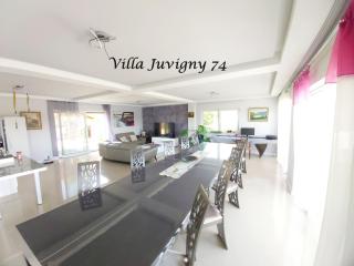 Villa 5*, 15 personnes, Piscine à 20 min de Genève - Juvigny - 4