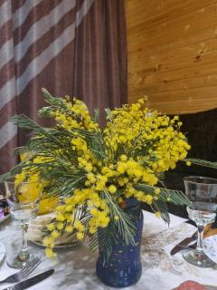 Eco cottage - Batumi - 4