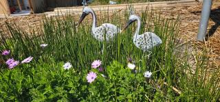 Titicaca Uros Summa Paqari - 6