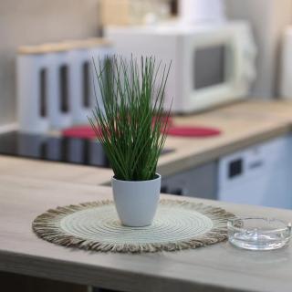 Ukisa Apartman, apartman Jagodina 1, Aqua Park - Jagodina - 4
