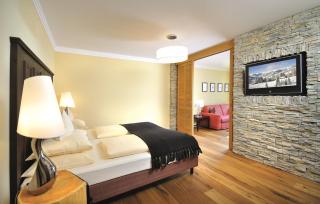 Hotel Alpine Palace - 1
