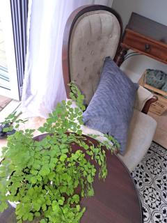 Ceres Cozy Cottage - Ceres - 1