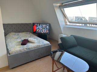 Cozy Bright Penthouse close to U1 and U6 metros - Vienne - 3