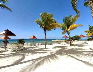Appartement village Pierre et vacances vue mer Guadeloupe St Anne - Sainte-Anne - 3