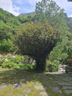 Maison atypique - Tende - 5