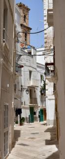 Ginnasio 35 - Monopoli - 8