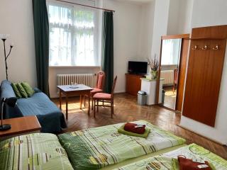 Penzion Villa Gerlach - Starý Smokovec - 7