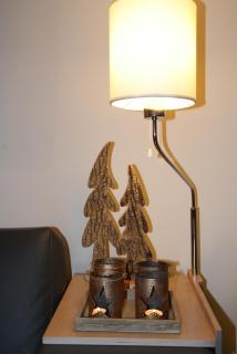 Central & Elegant Apartments,partially with Fireplace, by Zermatt Rental - Zermatt - 4