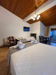 Vila AT - Berat - 3