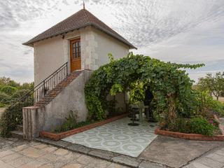 Gîte 4 chambres avec piscine couverte et jardin proche des châteaux de la Loire - FR-1-491-370 - Chouzy-sur-Cisse - 7