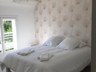 Gîte élégant avec grand jardin privé, idéalement situé près des châteaux et activités, tout inclus - FR-1-491-358 - Onzain - 1