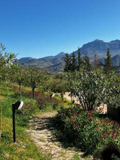 Le Case di Cardellino - AgriSpa - 1