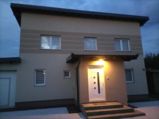Villa NEA Ilidza - Sarajevo - 7