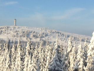 Haus Wiesenquelle - Feldberg - 5