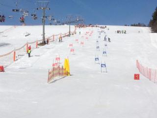 Haus Wiesenquelle - Feldberg - 4