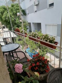 Apartmani Nina - 0