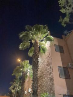 Au deux riads - 2