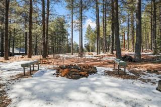 Bear Foot Lodge - Forest Lakes Estates - 8
