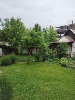Apartament Primaverii - Rîşnov - 4