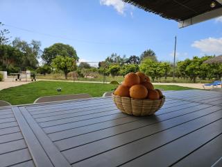 Es Molí de'n Palmer - 2