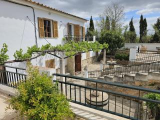 Es Molí de'n Palmer - 0