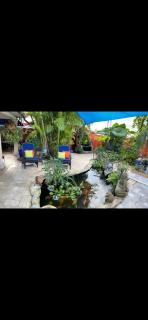 Secret gardens guest house - Tamiami - 5