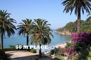 Clair de Lune - Rayol-Canadel-sur-Mer - 0