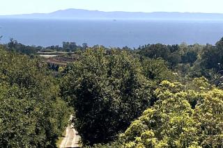 Cabin on the American Riviera - Carpinteria - 7
