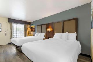 Best Western Salisbury Plaza - Salisbury - 7