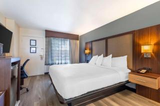 Best Western Salisbury Plaza - Salisbury - 6