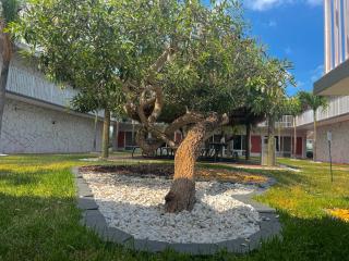 Garden Inn Homestead/Everglades/Gateway to Keys - Homestead - 6
