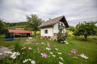 Family friendly house with a parking space Hreljin Ogulinski, Gorski kotar - 23162 - Ogulin - 9