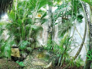 Dream Glamping Jungle Bohio - 4